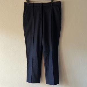 Everlane Premium Wool Cashmere Flannel Crop Pant 8